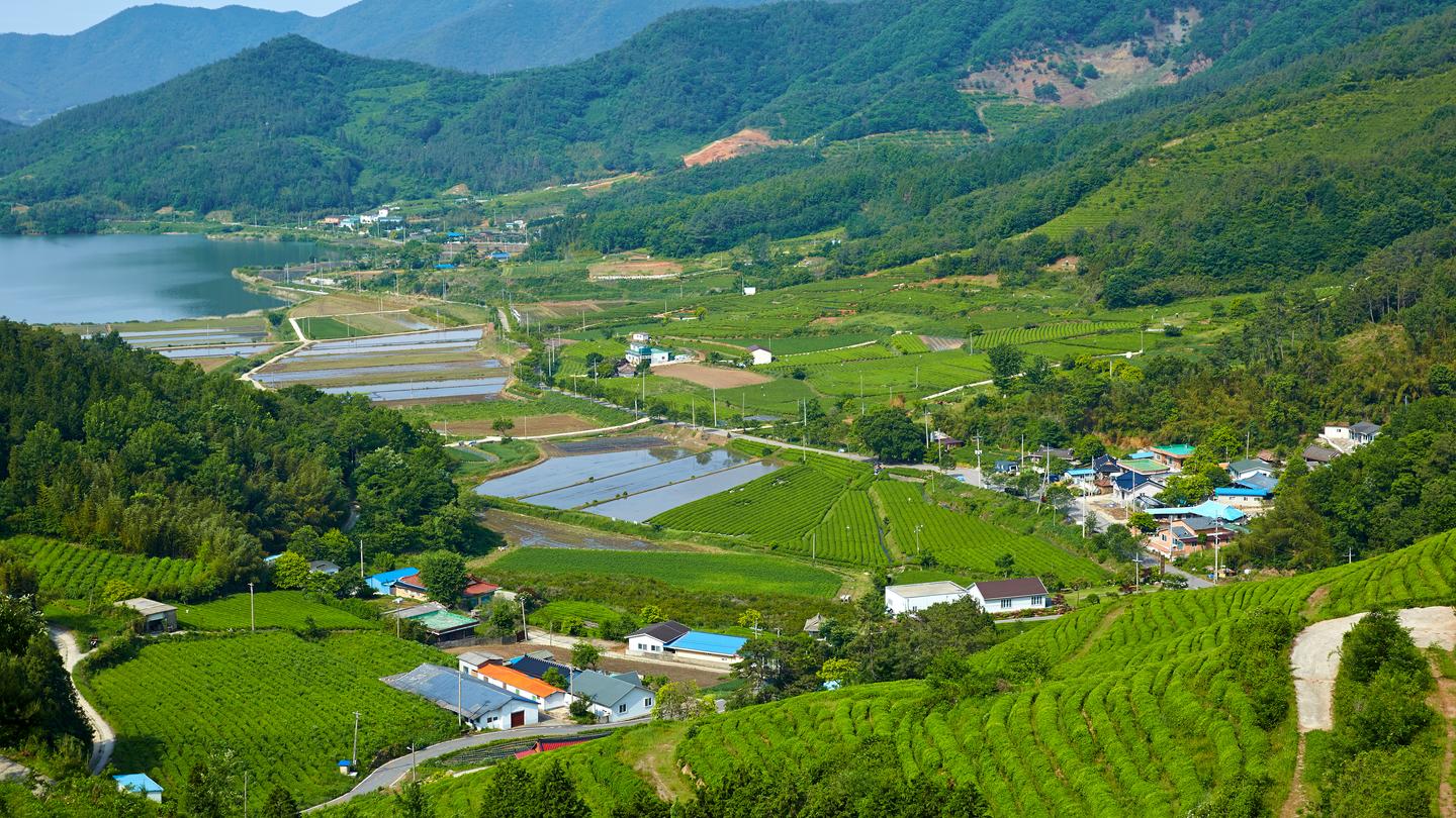 Hotels in Boseong ab CHF 32 SWOODOO