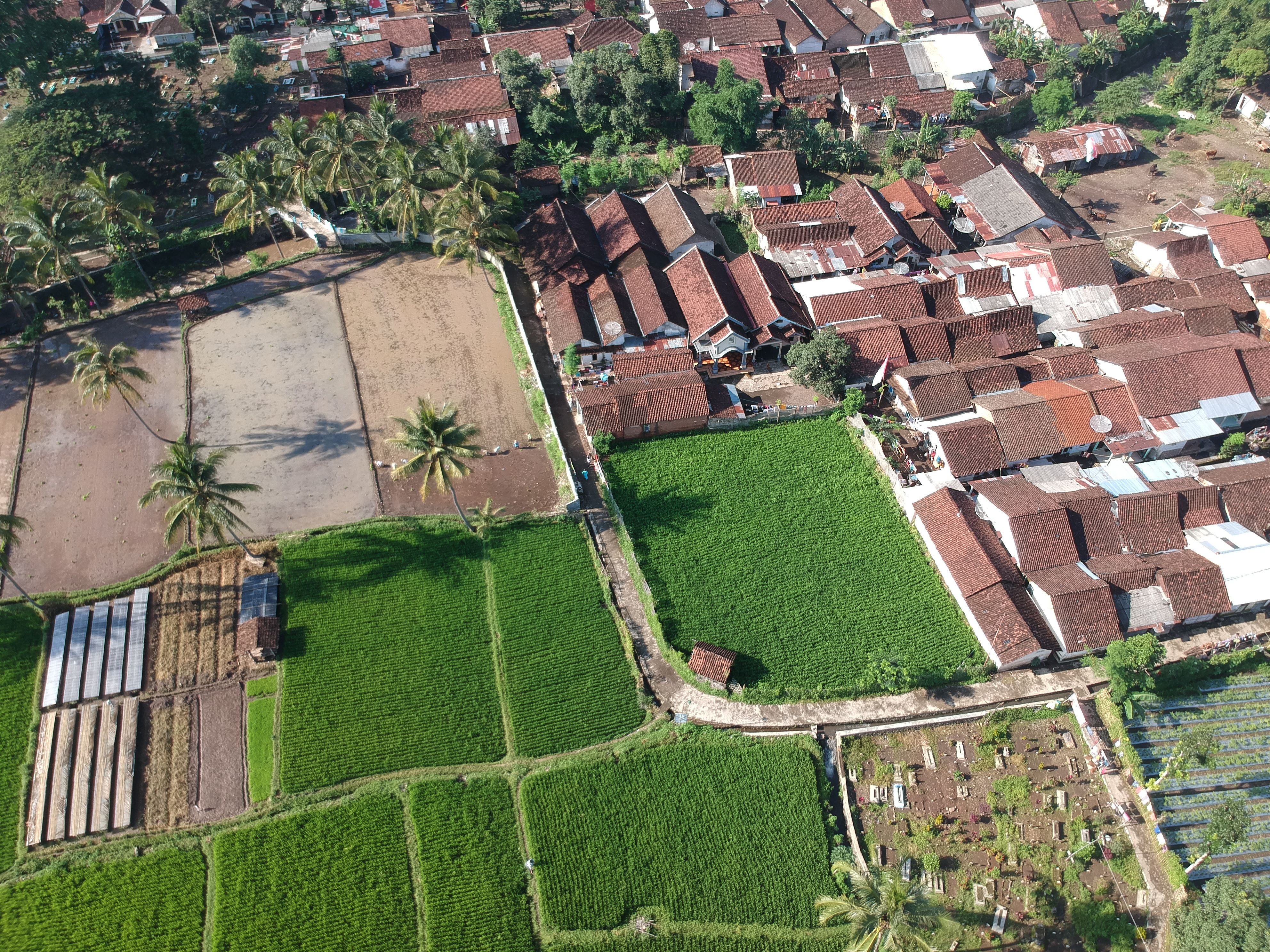 Hotels in Bondowoso SWOODOO