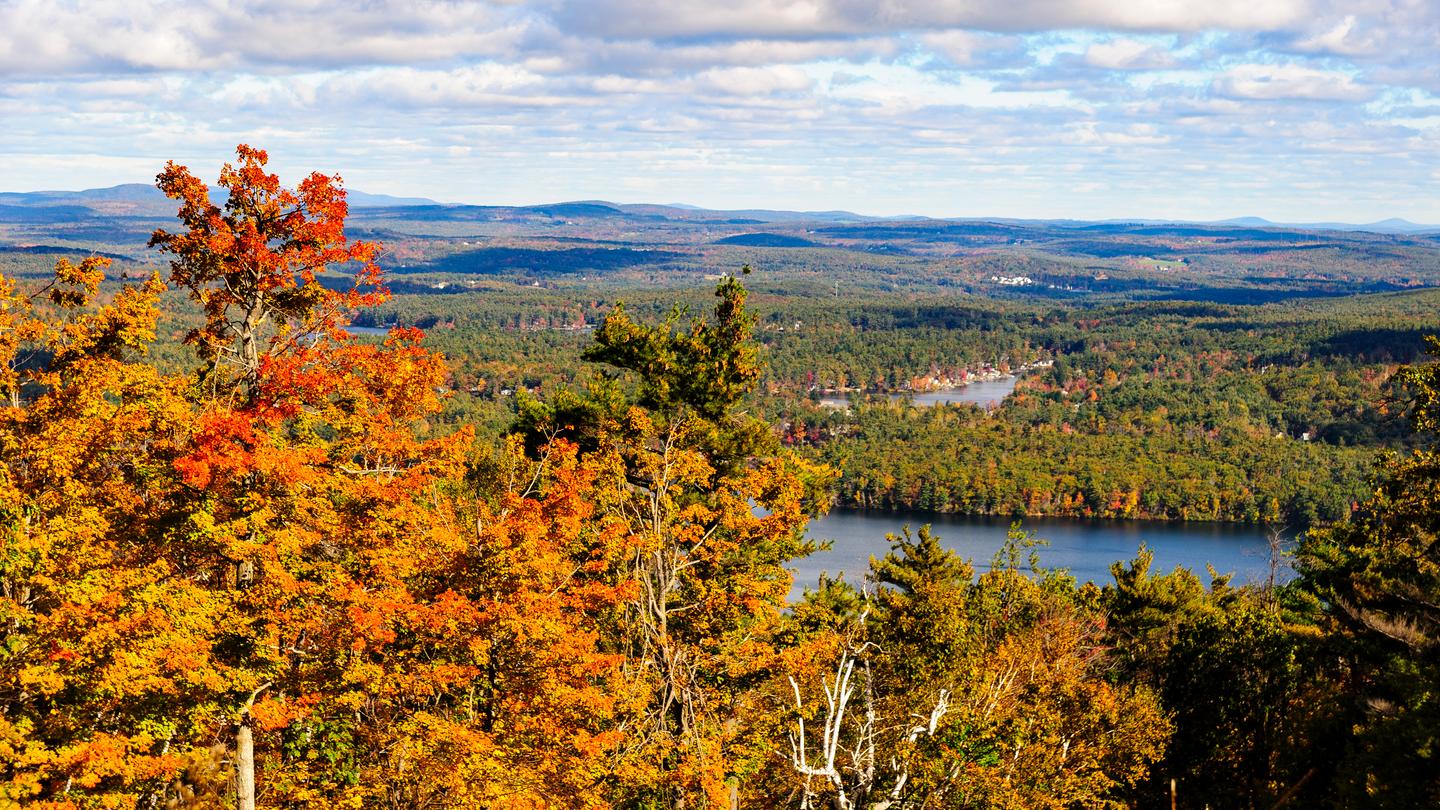 Hotels in Westminster ab CHF 161 SWOODOO