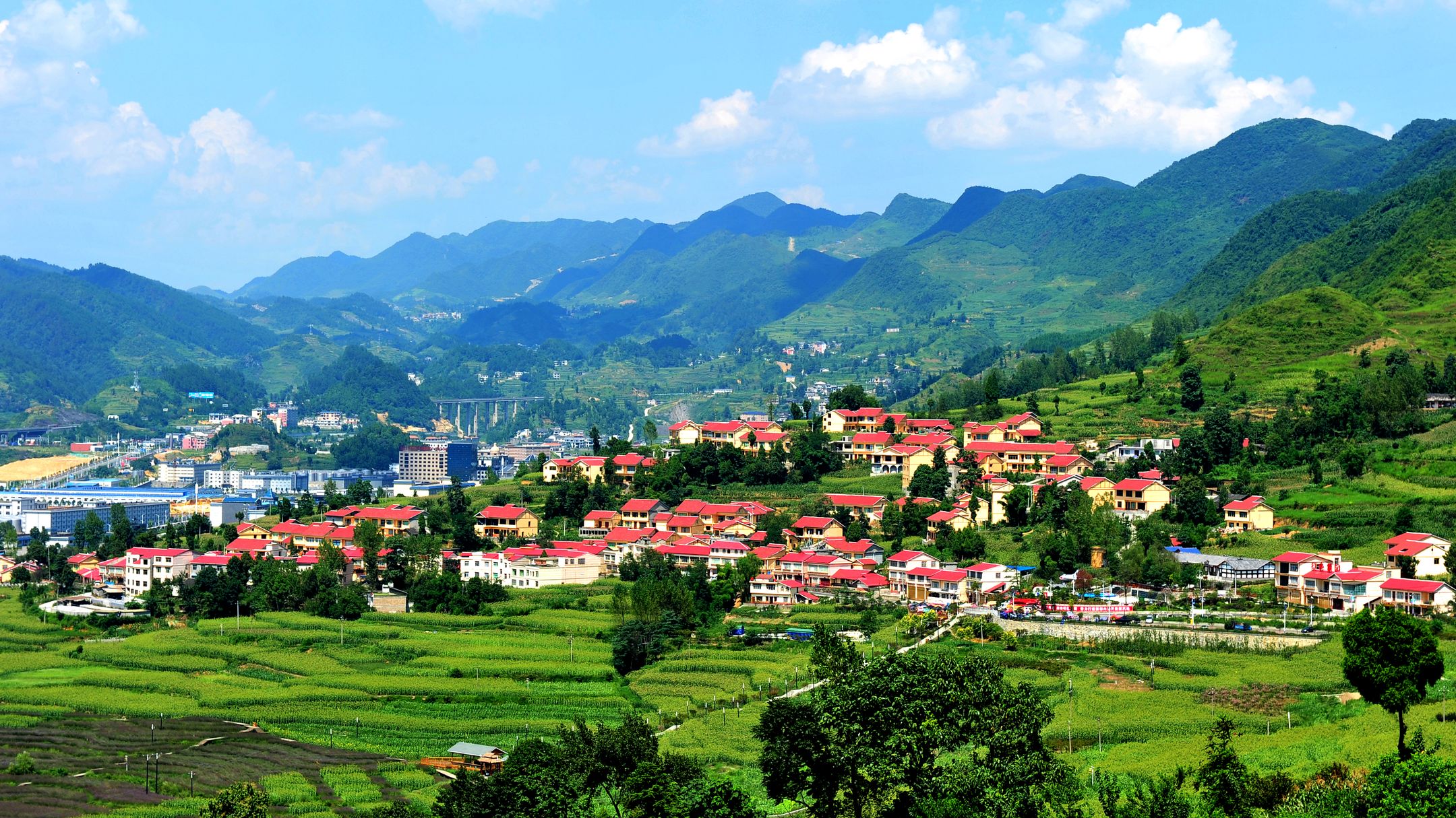 Hotels in Zunyi SWOODOO