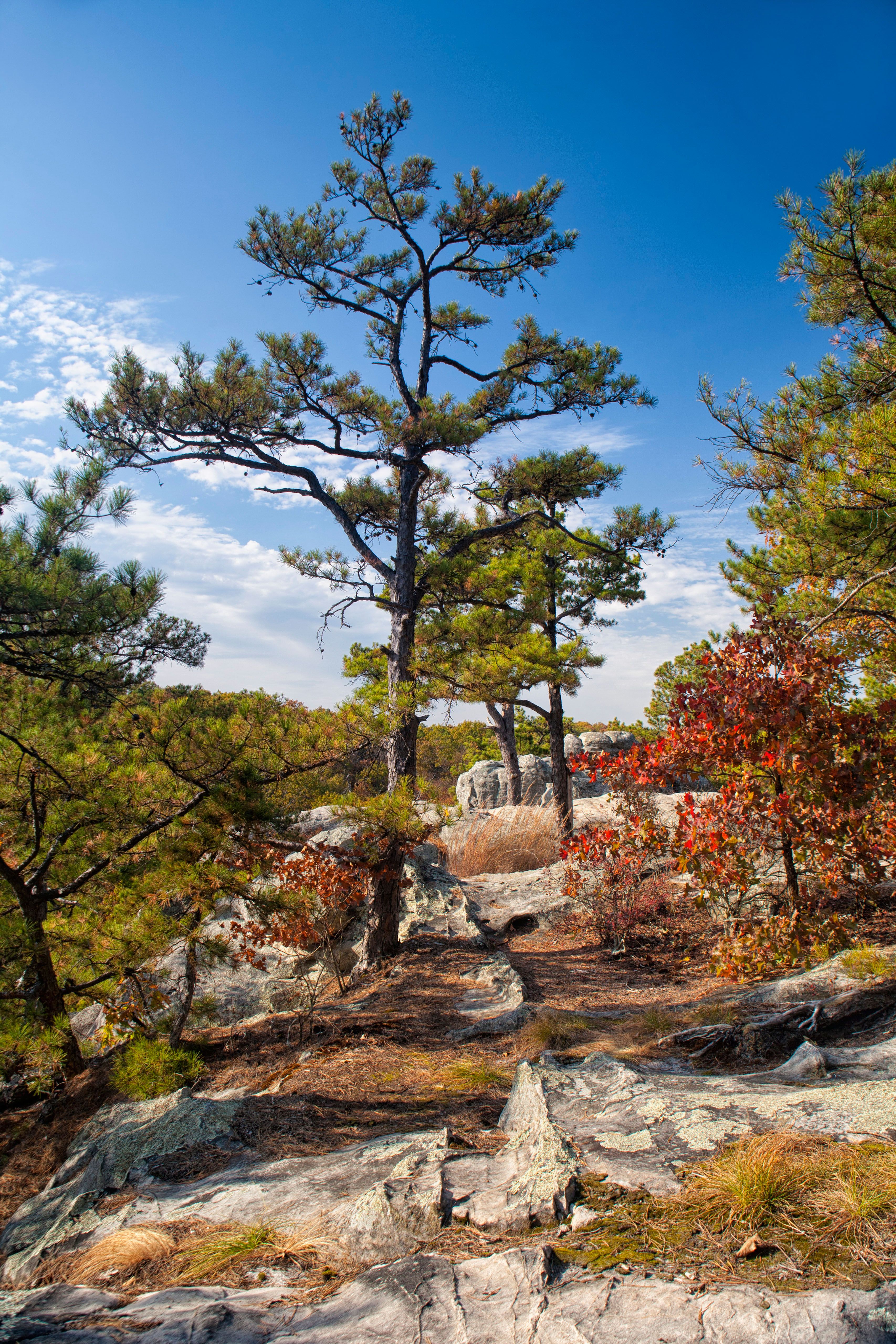 Hotels in Sainte Genevieve ab CHF 234 SWOODOO